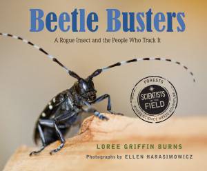 Nonfiction for children: Beetle Busters, By Loree Griffin Burns