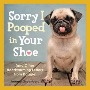 Sorry I Pooped in Your Shoe by Jeremy Greenberg