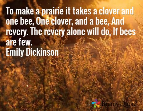 Emily Dickinson Poem To Make a Prairie