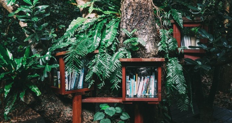 how to maintain a little free library