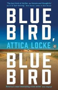 Bluebird, Bluebird book cover