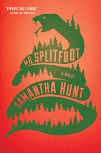 cover of Mr. Splitfoot by Samantha Hunt