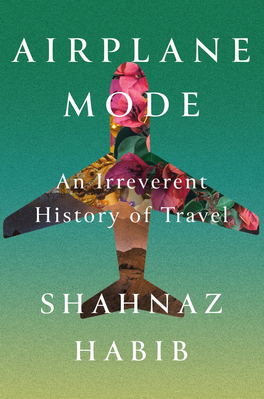 Airplane Mode: AN Irreverant History of Travel cover