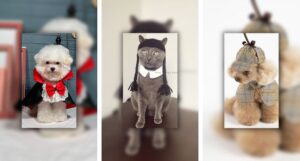 collage of two dogs and one cat in bookish halloween costumes