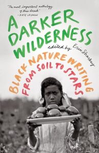 cover of A Darker Wilderness by Erin Shackey