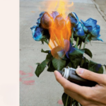 cropped cover of Mean Boys, showing a photo of a hand lighting a bouquet of blue roses in fire