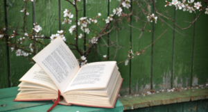 a photo of a book on a bench with flowering branches behind it