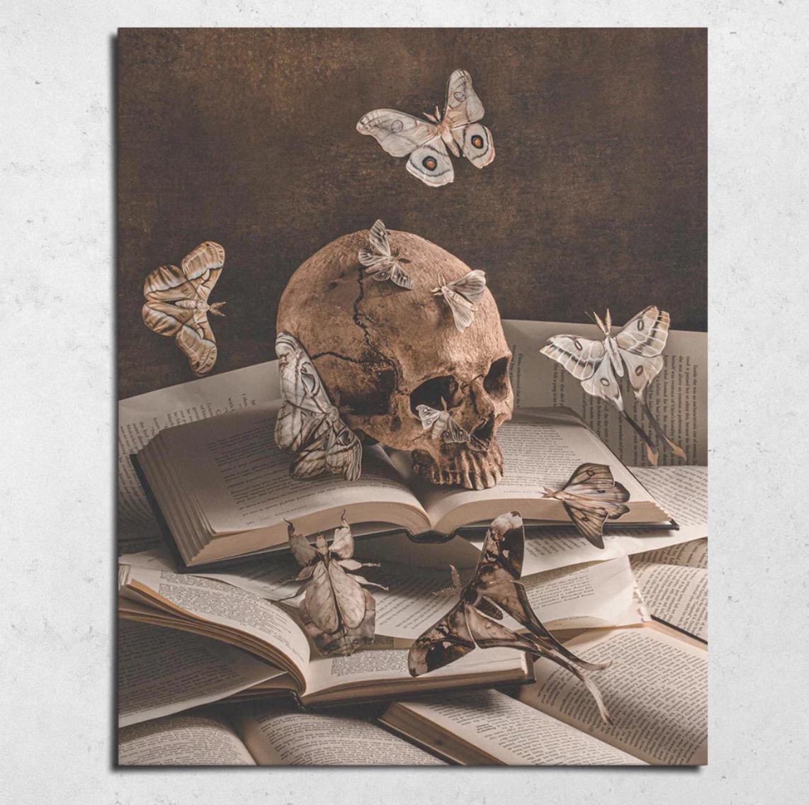 art print sowin a skull perched atop multiple open books with several butterflies floating midair