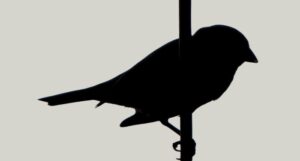 the silhouette of a small bird perched on a vertical branch