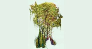 partial cover of Heartwood by Amity Gaige