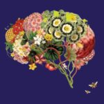 partial cover of The Mind Electric A Neurologist on the Strangeness and Wonder of Our Brains by Pria Anand