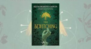 the bewitching book cover
