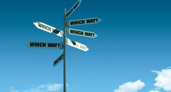 signs pointing in many directions reading which way