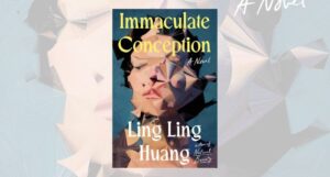 immaculate conception book cover