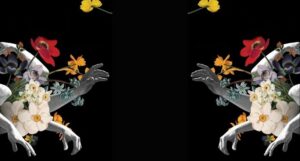 partial cover of The Seep