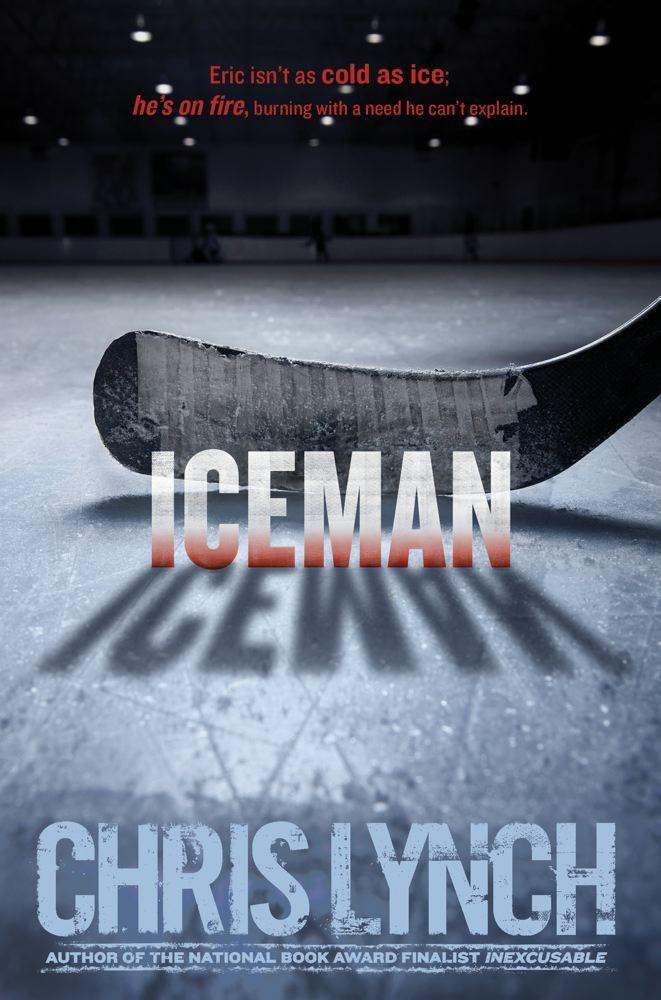 3 on a YA Theme  YA Books About Hockey - 45