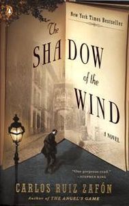 shadow of the wind