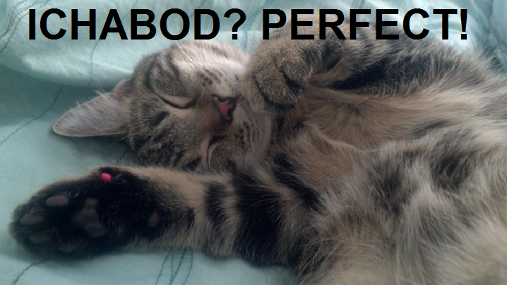 Ichabod Perfect 