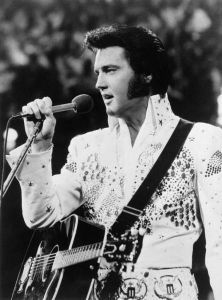 Elvis Presley, Literary Muse