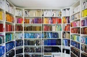 bookshelves by color