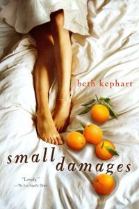 Small Damages Beth Kephart Cover