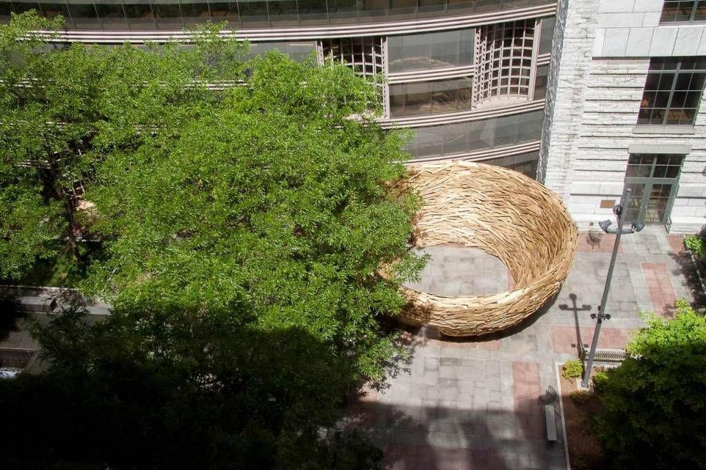 reading nest overhead