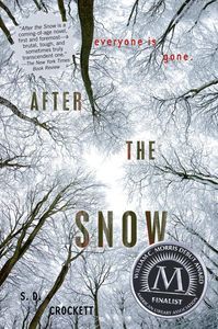 After the Snow S D Crockett Cover