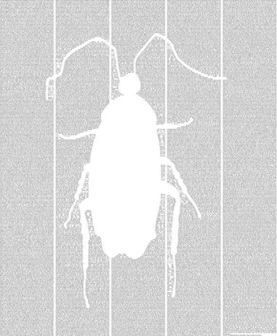 metamorphosis print