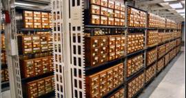 Card catalog at the Library of Congress.