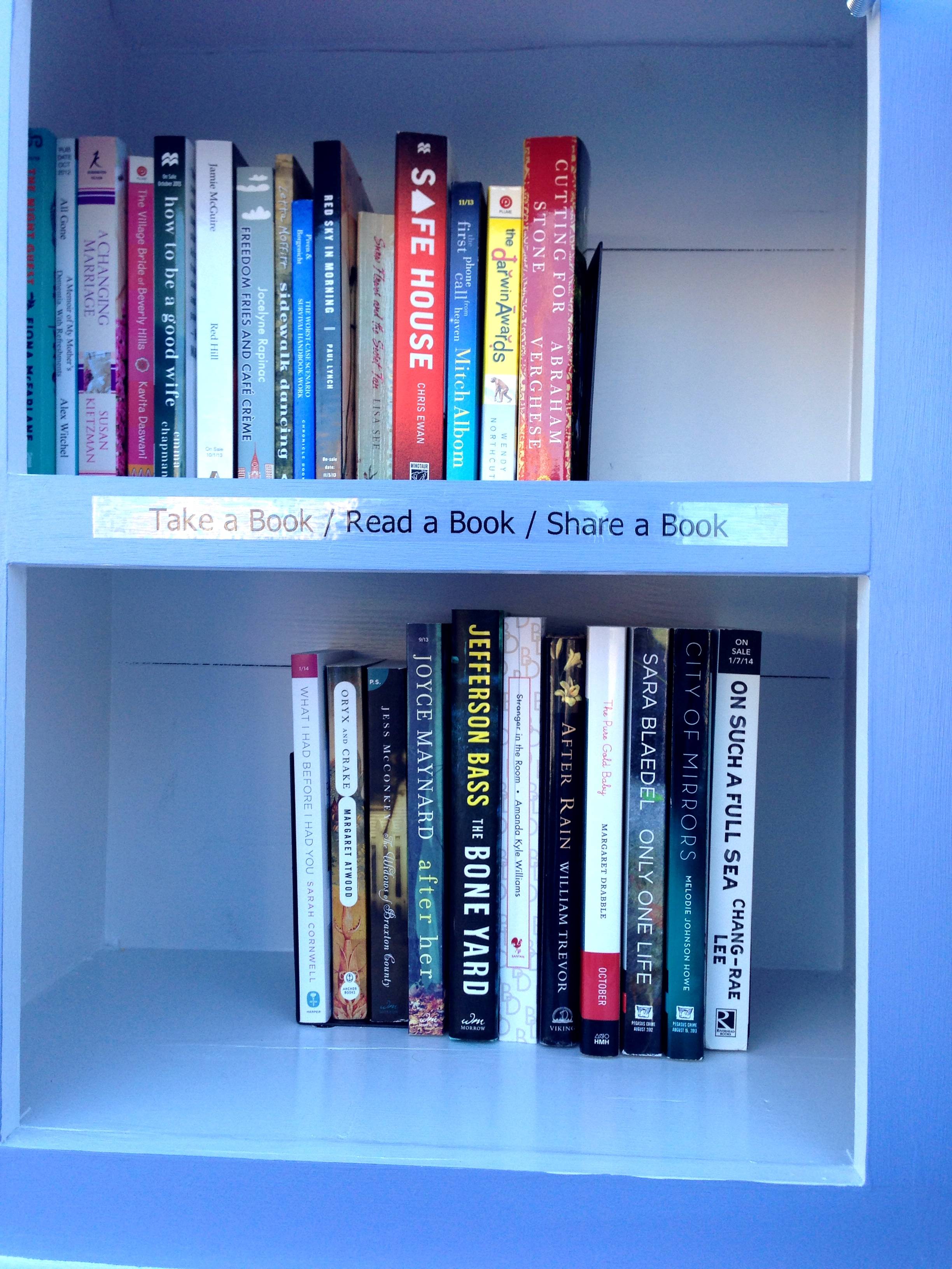 the-awesomeness-of-my-little-free-library