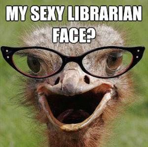 hot librarians wearing glasses