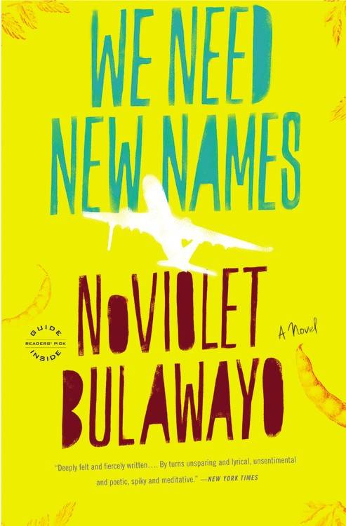 we need new names book review