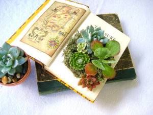 Book art planters from Etsy