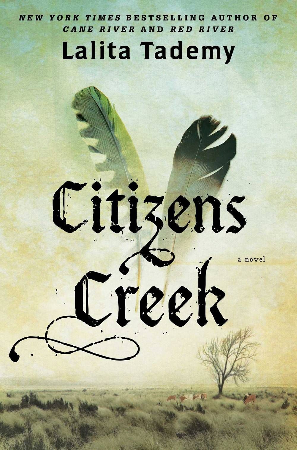 citizens creek - lalita tademy