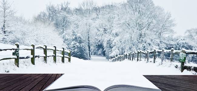 Must Read December New Releases Must Read December New Releases
