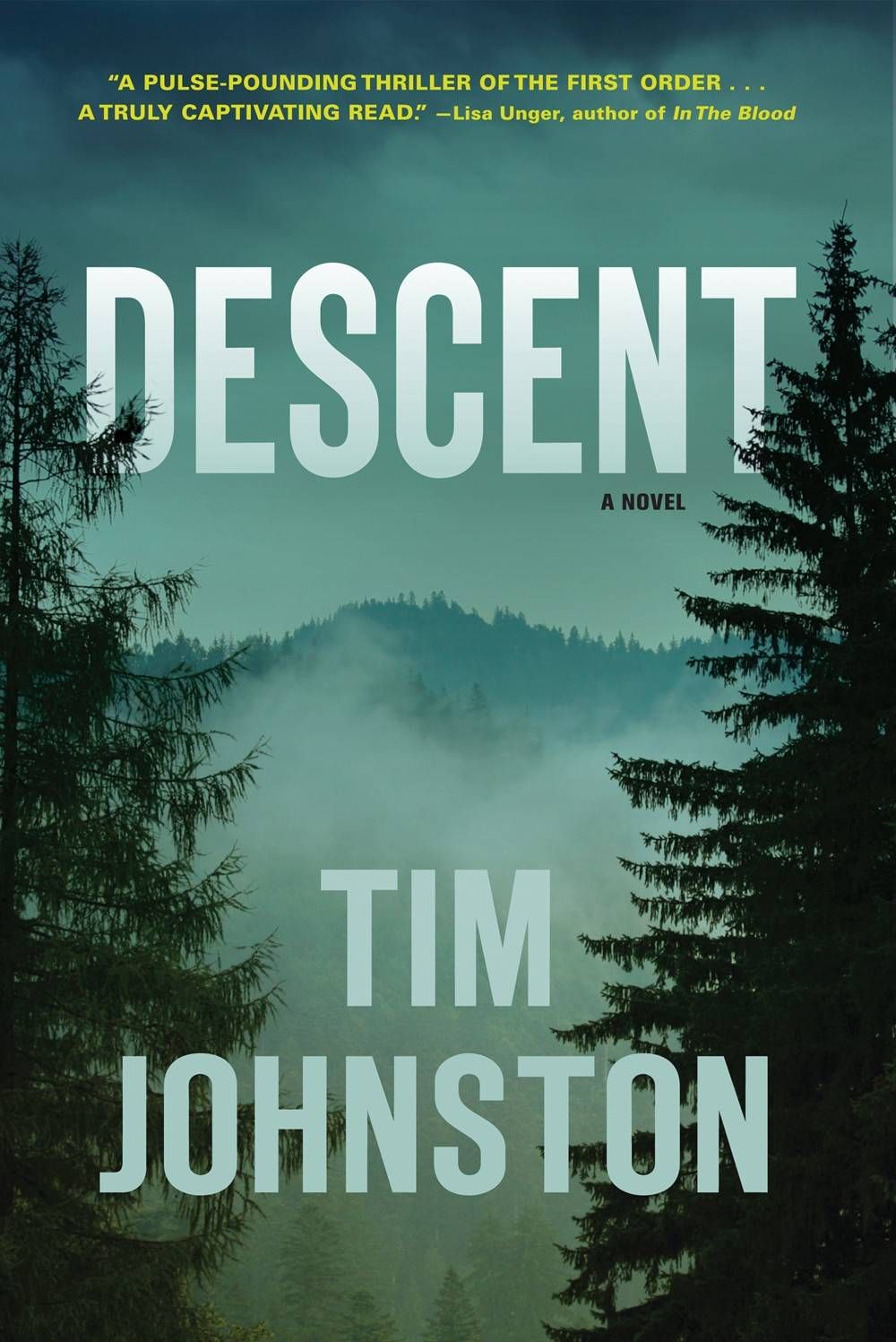 descent - tim johnston