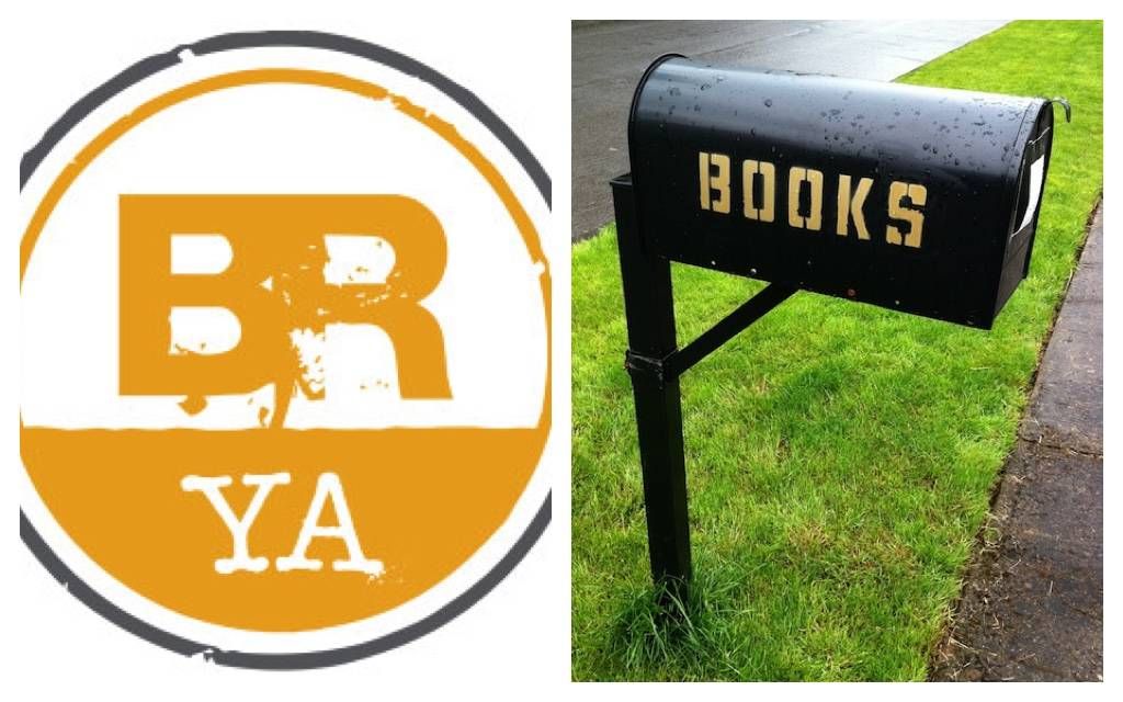 Book Riot Ya Quarterly Box