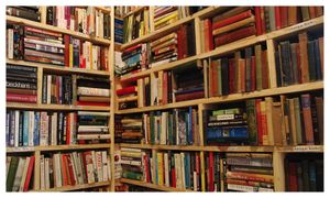 How To Organize Bookshelves With A Lot Of Books From Complex To