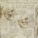 Anatomical Study by Leonardo da Vinci