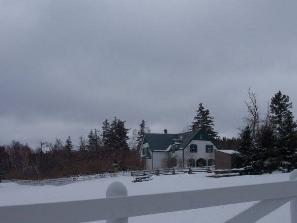 Green Gables