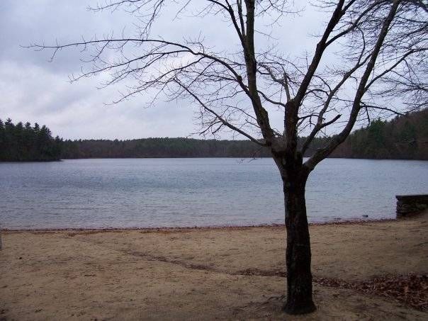 walden pond