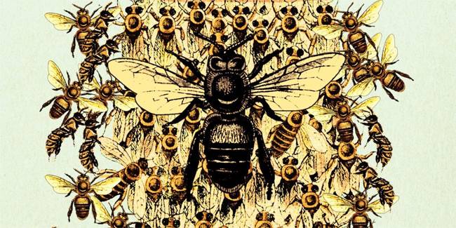the bees laline paull summary