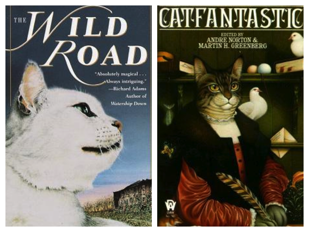 wild road cat fantastic