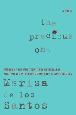 precious novel precious novel