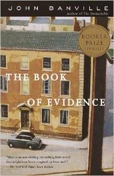 the book of evidence