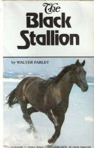 Black Stallion Book