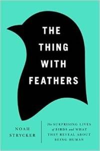 The Thing With Feathers