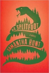 cover of mr splitfoot by samantha hunt