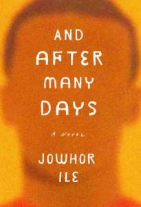 cover of and after many days jowhor ile