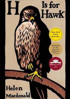 h is for hawk